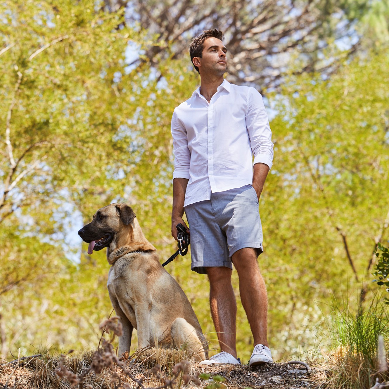 Herren Shorts
